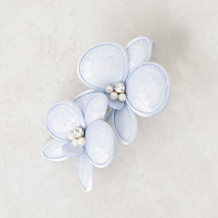 �R�T�[�W��