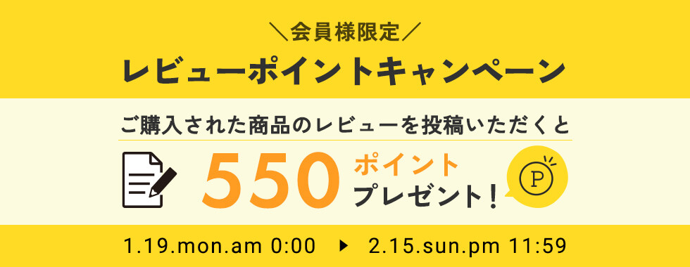 ����l���� ���r���[�|�C���g�L�����y�[��